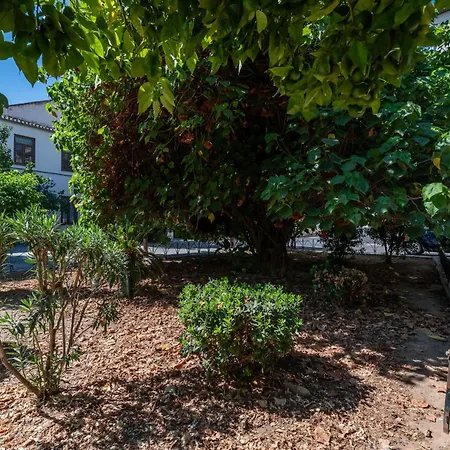 Apartamento Malagadevacaciones - Don Rodrigo Málaga